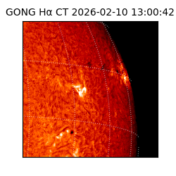 gong - 2026-02-10T13:00:42