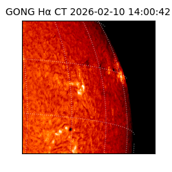 gong - 2026-02-10T14:00:42