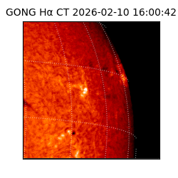 gong - 2026-02-10T16:00:42