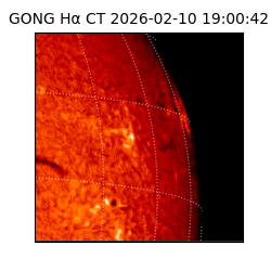 gong - 2026-02-10T19:00:42