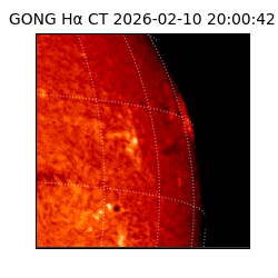 gong - 2026-02-10T20:00:42