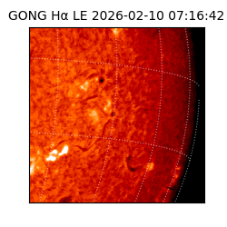 gong - 2026-02-10T07:16:42