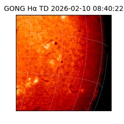 gong - 2026-02-10T08:40:22
