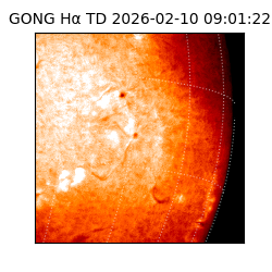 gong - 2026-02-10T09:01:22