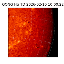 gong - 2026-02-10T10:00:22