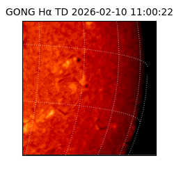 gong - 2026-02-10T11:00:22