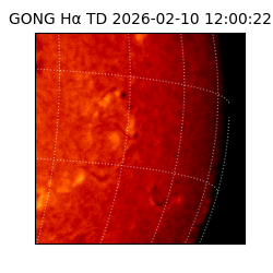 gong - 2026-02-10T12:00:22