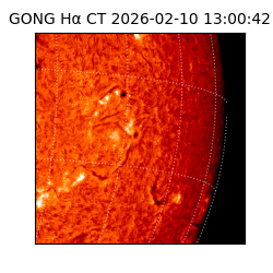 gong - 2026-02-10T13:00:42