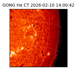 gong - 2026-02-10T14:00:42