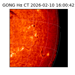 gong - 2026-02-10T16:00:42