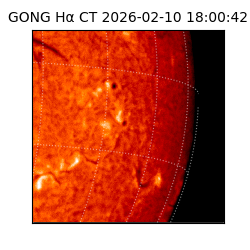 gong - 2026-02-10T18:00:42