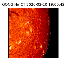 gong - 2026-02-10T19:00:42