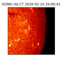 gong - 2026-02-10T20:00:42