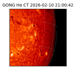 gong - 2026-02-10T21:00:42