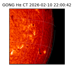 gong - 2026-02-10T22:00:42