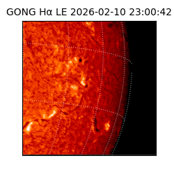 gong - 2026-02-10T23:00:42