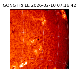 gong - 2026-02-10T07:16:42