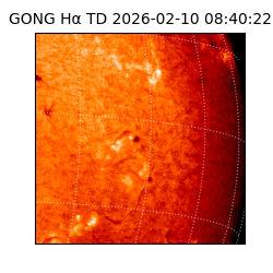 gong - 2026-02-10T08:40:22