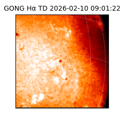 gong - 2026-02-10T09:01:22