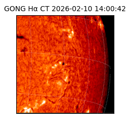 gong - 2026-02-10T14:00:42