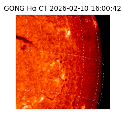 gong - 2026-02-10T16:00:42