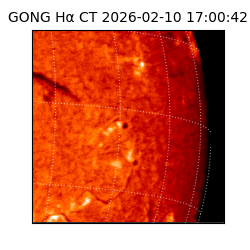 gong - 2026-02-10T17:00:42
