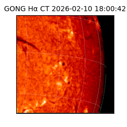 gong - 2026-02-10T18:00:42