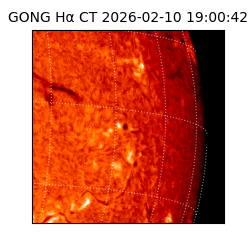 gong - 2026-02-10T19:00:42