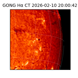 gong - 2026-02-10T20:00:42