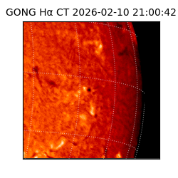gong - 2026-02-10T21:00:42
