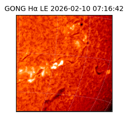 gong - 2026-02-10T07:16:42