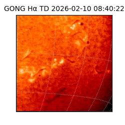 gong - 2026-02-10T08:40:22