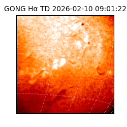 gong - 2026-02-10T09:01:22