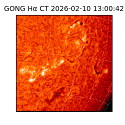 gong - 2026-02-10T13:00:42