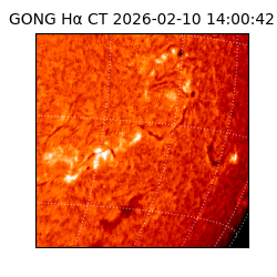 gong - 2026-02-10T14:00:42