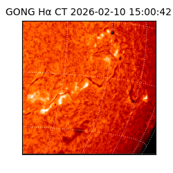 gong - 2026-02-10T15:00:42