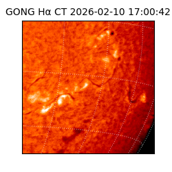 gong - 2026-02-10T17:00:42