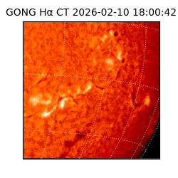 gong - 2026-02-10T18:00:42