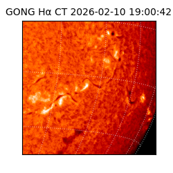 gong - 2026-02-10T19:00:42