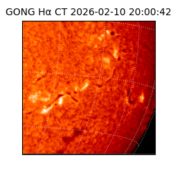 gong - 2026-02-10T20:00:42