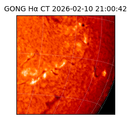 gong - 2026-02-10T21:00:42