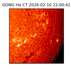 gong - 2026-02-10T22:00:42