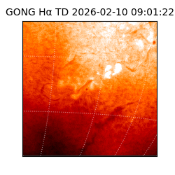 gong - 2026-02-10T09:01:22