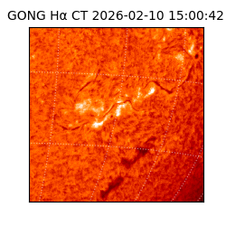 gong - 2026-02-10T15:00:42