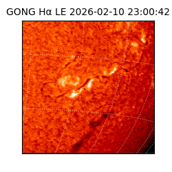 gong - 2026-02-10T23:00:42
