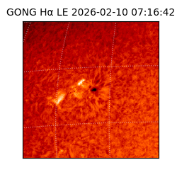 gong - 2026-02-10T07:16:42