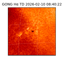 gong - 2026-02-10T08:40:22