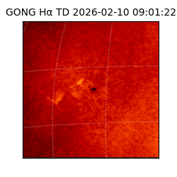 gong - 2026-02-10T09:01:22