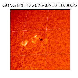 gong - 2026-02-10T10:00:22