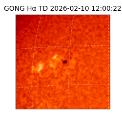 gong - 2026-02-10T12:00:22